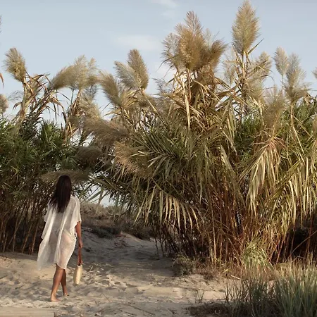 Oku Kos (adults Only)