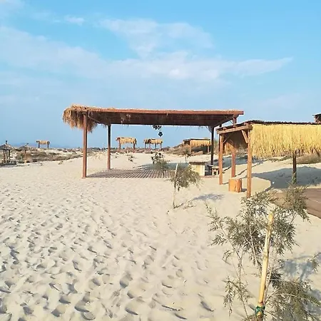 호텔 Oku Kos (adults Only) 5*