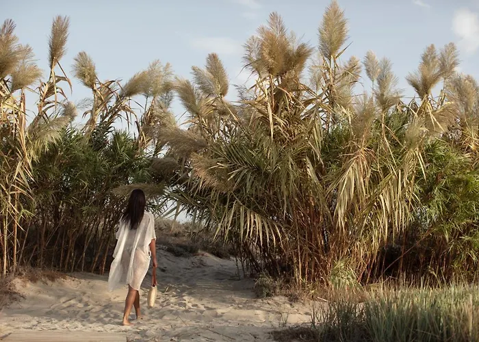 Oku Kos (adults Only)